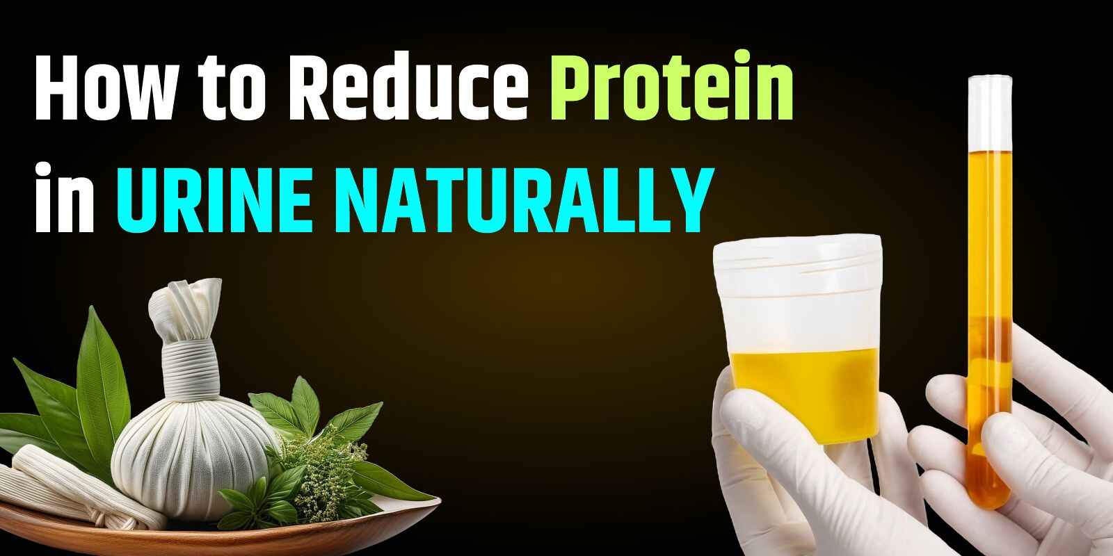 Reduce Protein in Urine Naturally